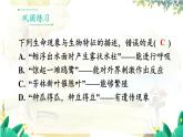 人教2024版生物七年级上册 第一单元 单元小结 PPT课件