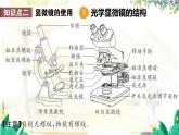 人教2024版生物七年级上册 第一单元 单元小结 PPT课件