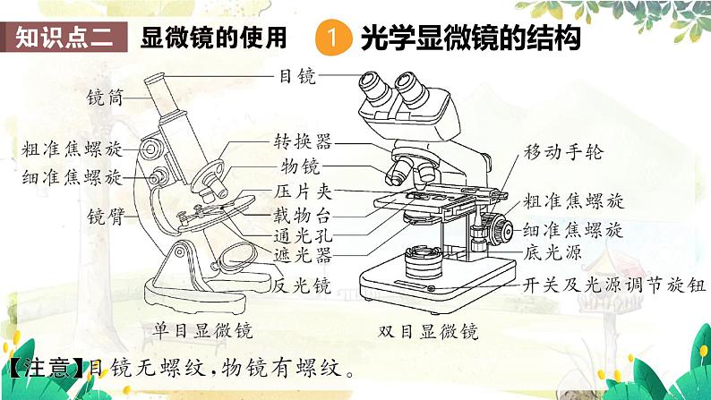 人教2024版生物七年级上册 第一单元 单元小结 PPT课件05