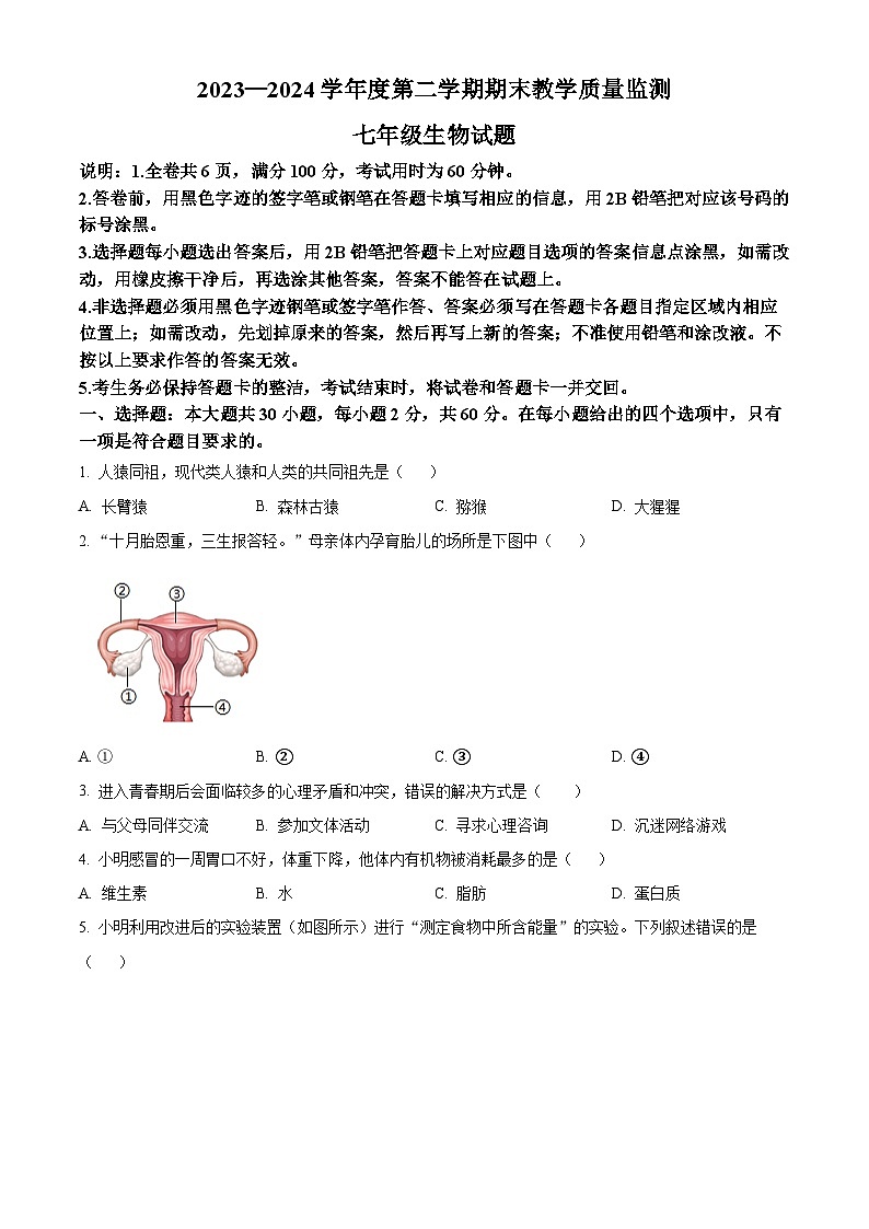 广东省阳江市阳东区2023-2024学年七年级下学期期末生物学试题（原卷版+解析版）01