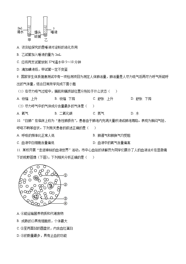 广东省阳江市阳东区2023-2024学年七年级下学期期末生物学试题（原卷版+解析版）03