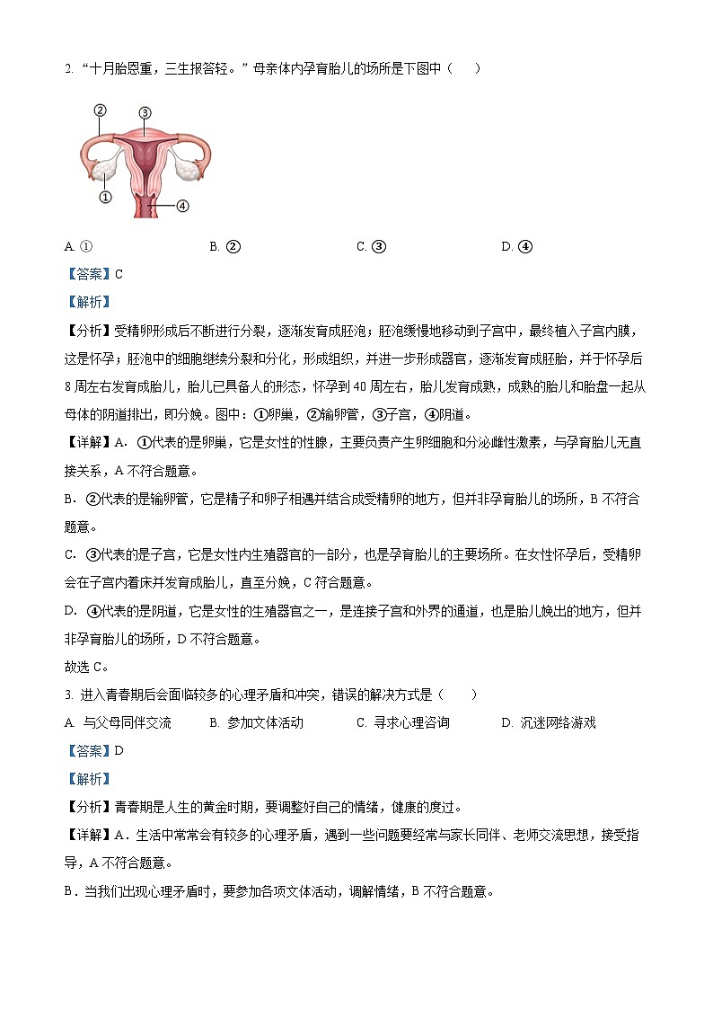 广东省阳江市阳东区2023-2024学年七年级下学期期末生物学试题（原卷版+解析版）02