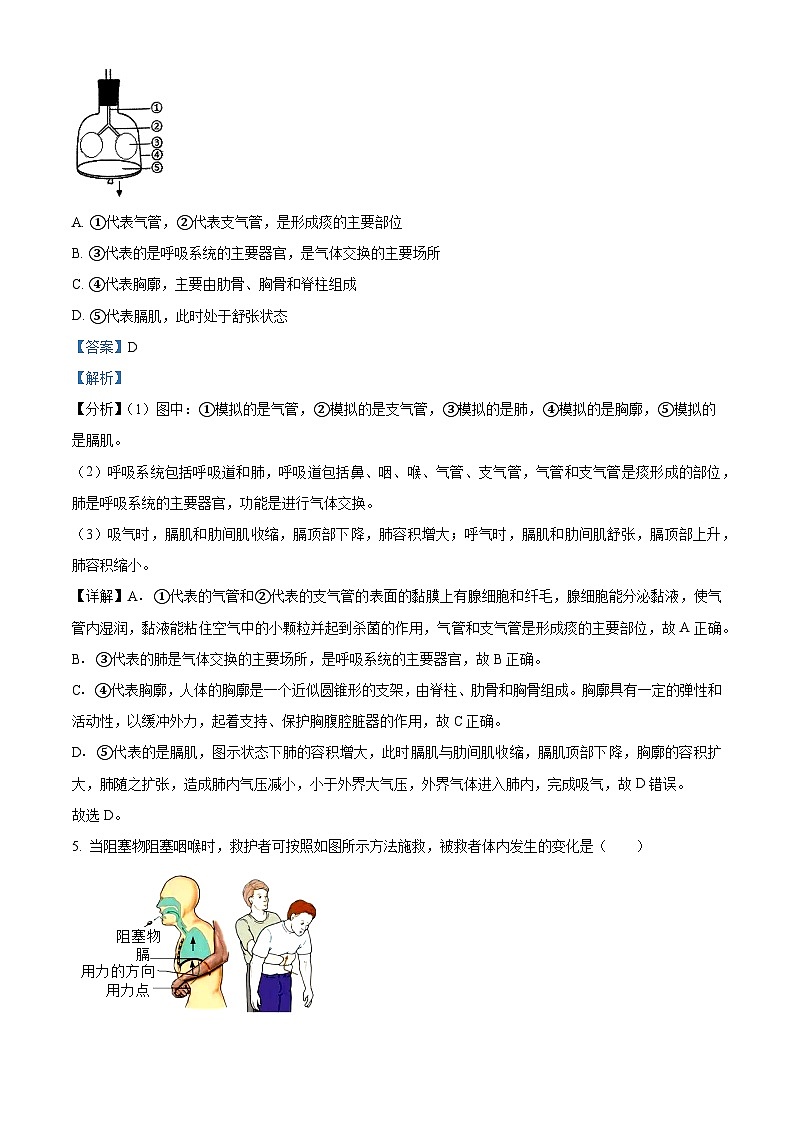 山东省菏泽市曹县2023-2024学年七年级下学期期末生物学试题（解析版）03