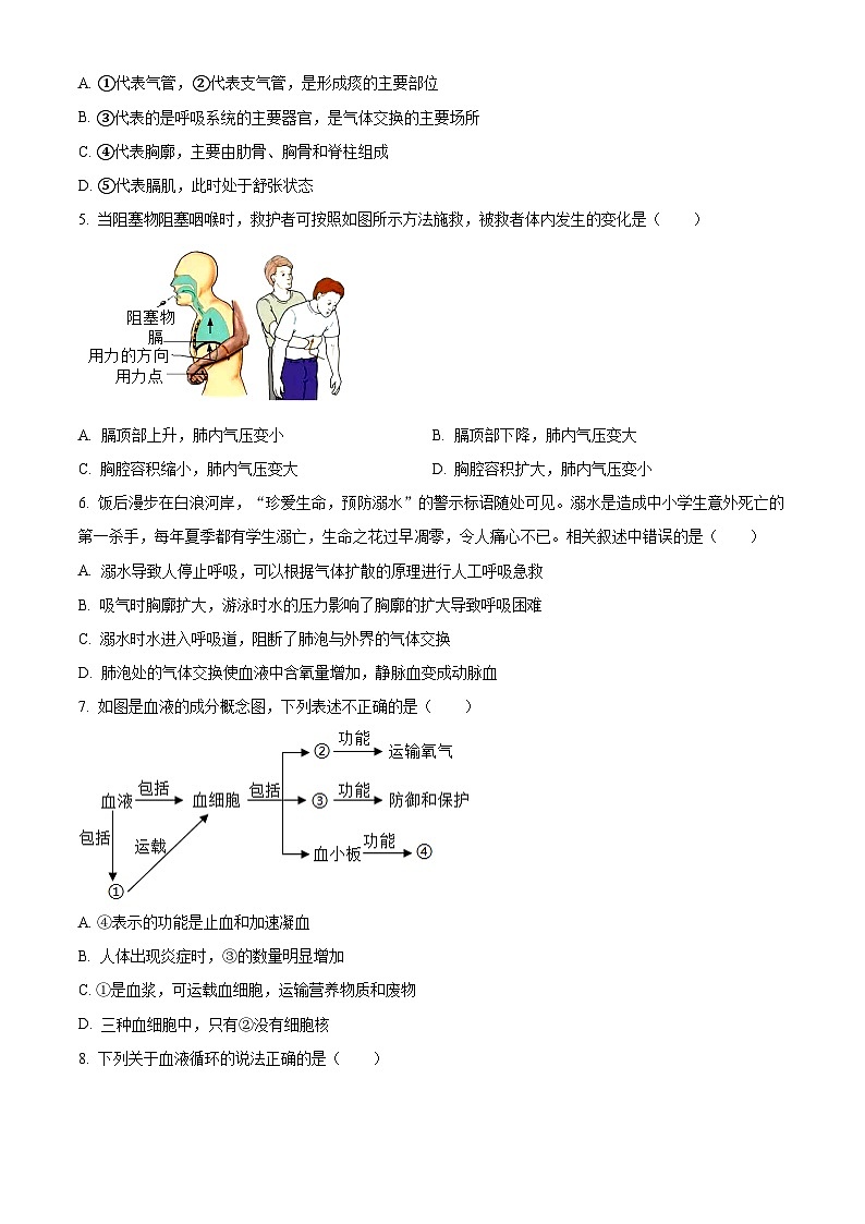 山东省菏泽市曹县2023-2024学年七年级下学期期末生物学试题（原卷版）第2页