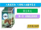 【人教版八上生物期中复习考点梳理+临考押题】第一章 动物的主要类群（串讲课件）