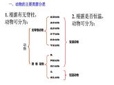 【人教版八上生物期中复习考点梳理+临考押题】第一章 动物的主要类群（串讲课件）