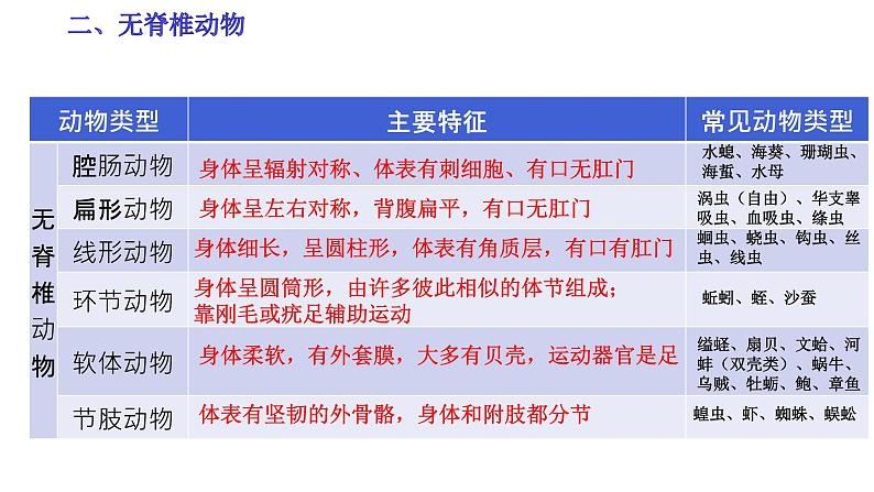 【人教版八上生物期中复习考点梳理+临考押题】第一章 动物的主要类群（串讲课件）07