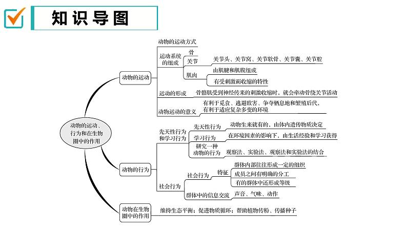 【人教版八上生物期中复习考点梳理+临考押题】第二、三章 动物的运动和行为及其在生物圈中的作用（串讲课件）03