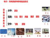 【人教版八上生物期中复习考点梳理+临考押题】第二、三章 动物的运动和行为及其在生物圈中的作用（串讲课件）