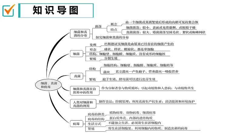 【人教版八上生物期中复习考点梳理+临考押题】第四、五章 细菌、真菌和病毒（串讲课件）04