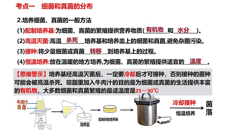 【人教版八上生物期中复习考点梳理+临考押题】第四、五章 细菌、真菌和病毒（串讲课件）06