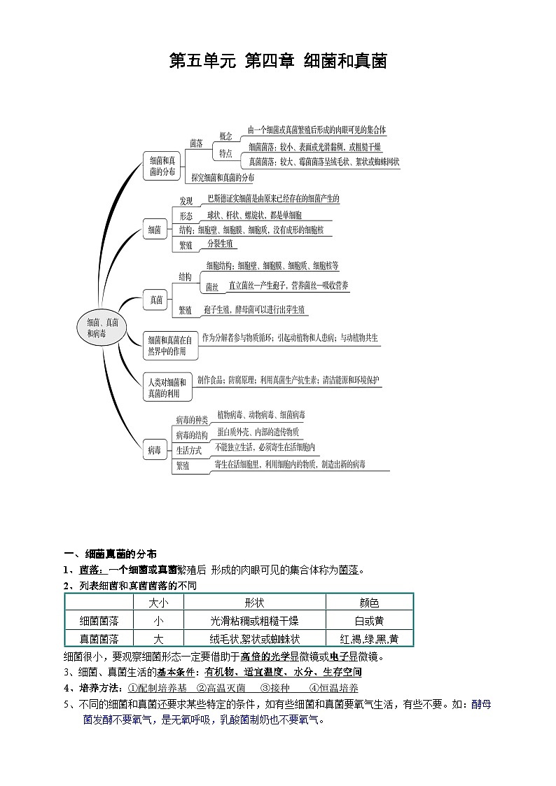 【人教版八上生物期中复习考点梳理+临考押题】第四、五章 细菌、真菌和病毒（知识清单）01