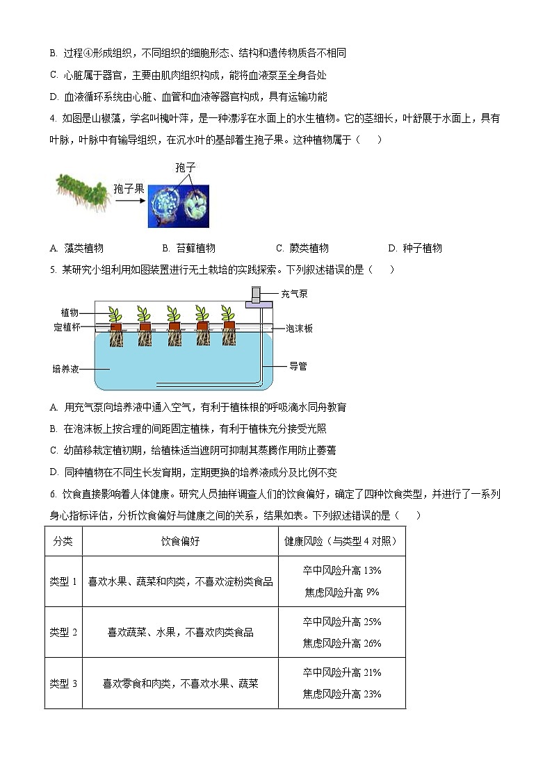 2024年山东省泰安市中考生物真题（2份打包，原卷版+解析版）02
