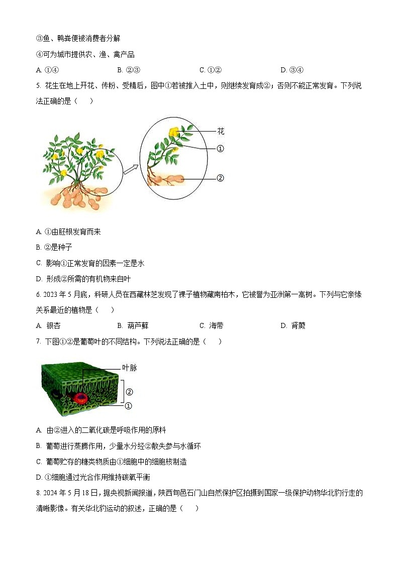 2024年陕西省中考生物真题（2份打包，原卷版+解析版）02