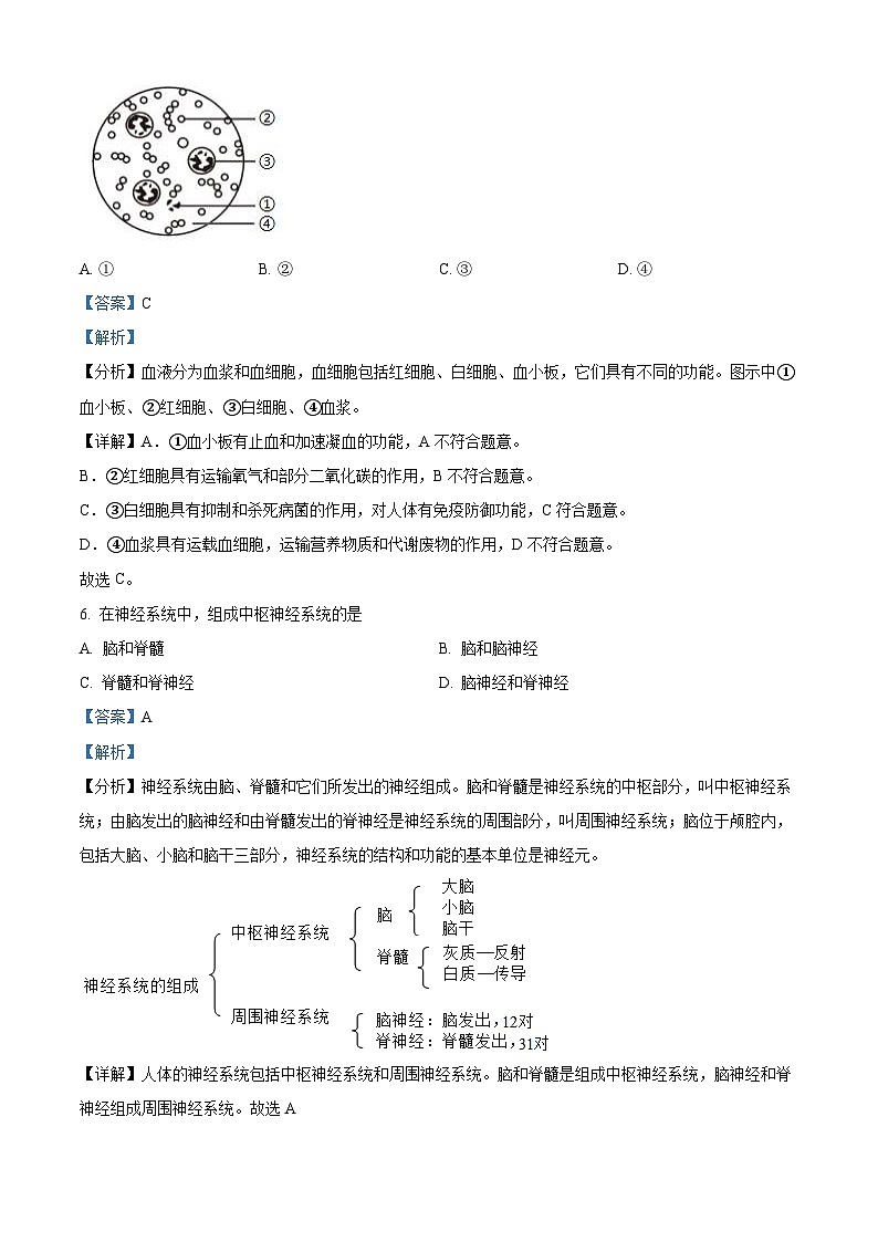 2024年上海市中考生物试题（2份打包，原卷版+解析版）03