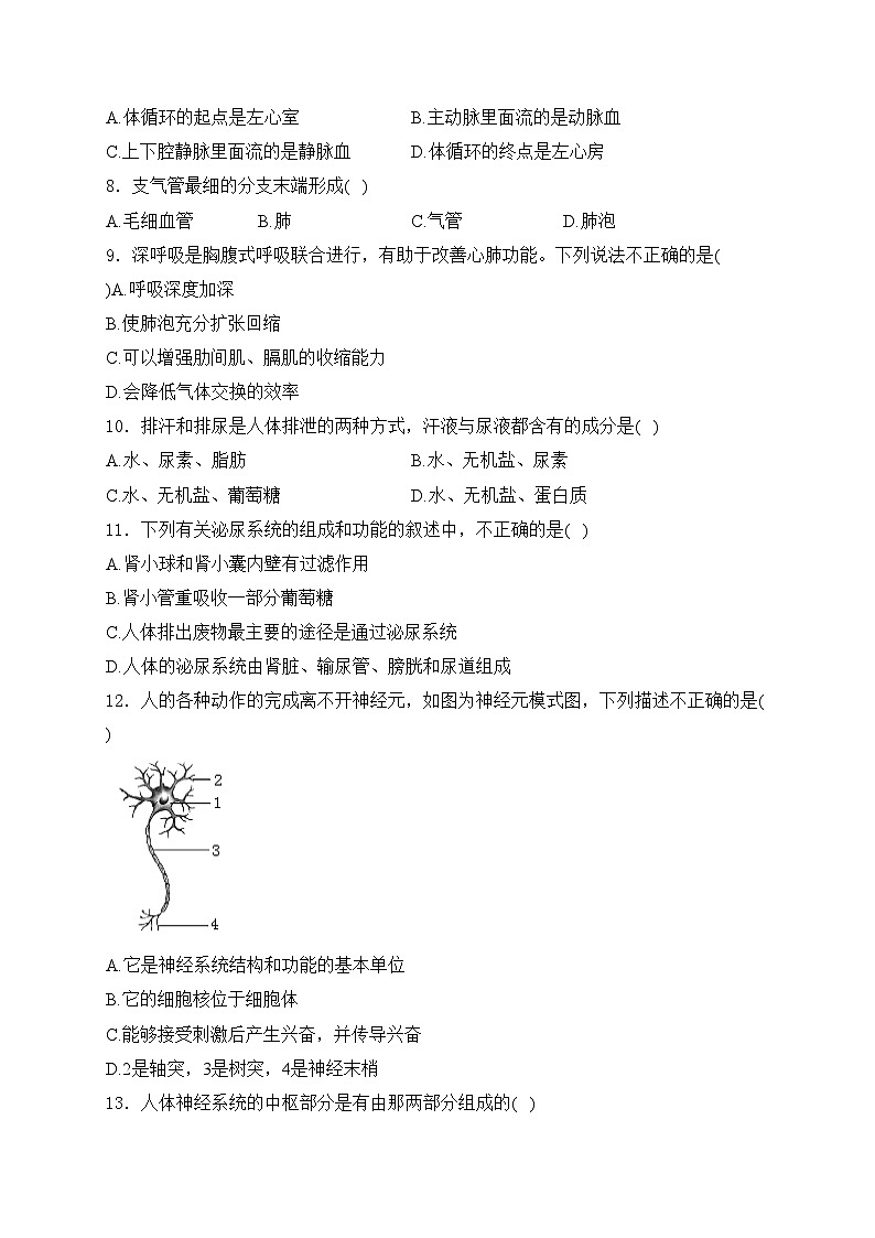 安徽省宿州市泗县2023-2024学年七年级下学期6月月考生物试卷(含答案)第2页
