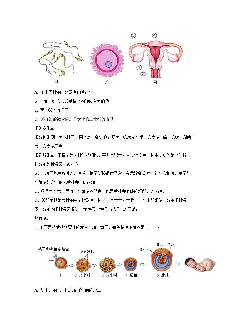 [生物][期中]江苏省盐城市建湖县2023-2024学年七年级下学期期中试题(解析版)第2页