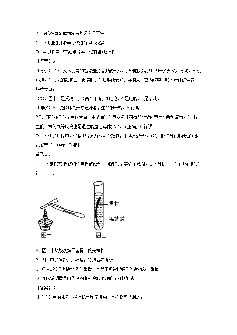 [生物][期中]江苏省盐城市建湖县2023-2024学年七年级下学期期中试题(解析版)第3页