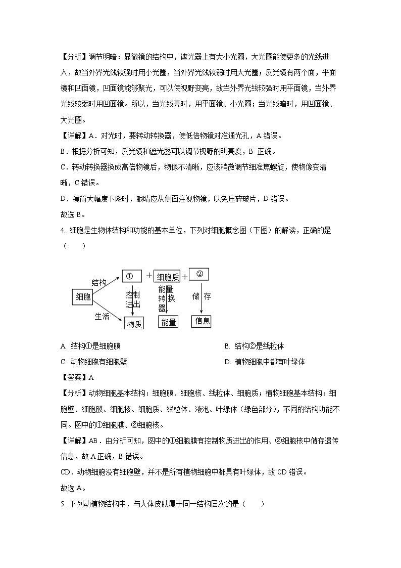 [生物][期中]云南省昭通市巧家县2023-2024学年八年级下学期期中学试题(解析版)02