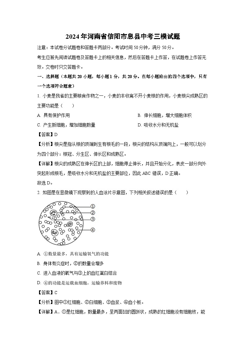 [生物][三模]2024年河南省信阳市息县中考试题(解析版)第1页