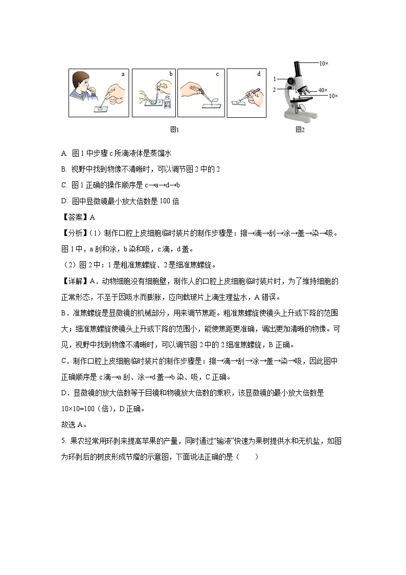 [生物][期末]重庆市长寿区2023-2024学年八年级下学期期末学试题(解析版)03