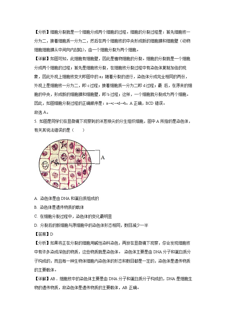 [生物][期中]江苏省泰州市高港区等2地2023-2024学年七年级下学期期中试题(解析版)第3页
