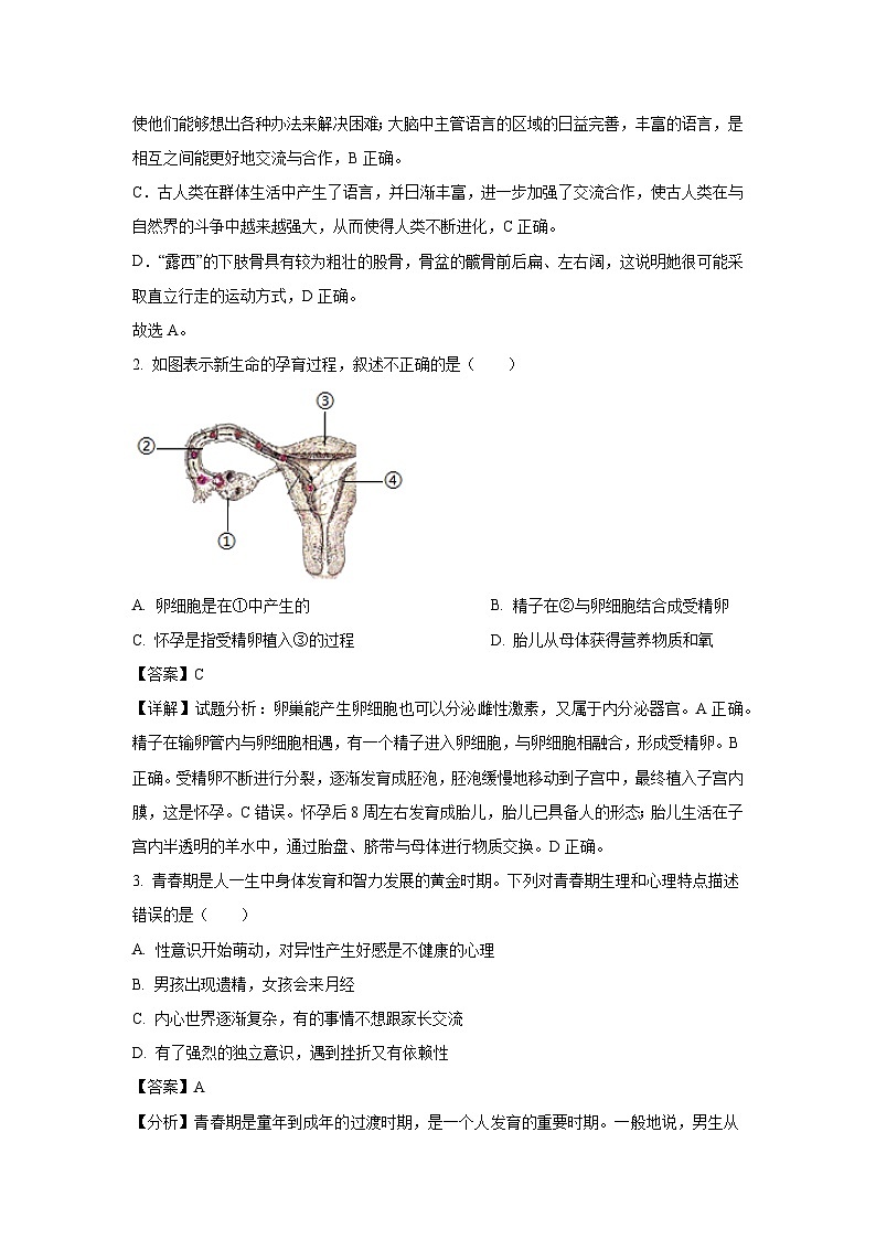[生物]广西壮族自治区南宁市2023-2024学年七年级下学期第三次月考试题(解析版)第2页