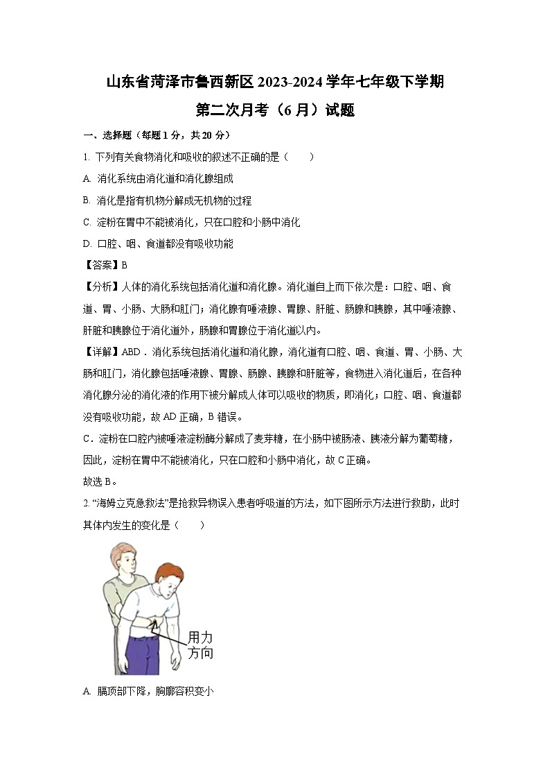 [生物]山东省菏泽市鲁西新区2023-2024学年七年级下学期第二次月考(6月)试题(解析版)第1页