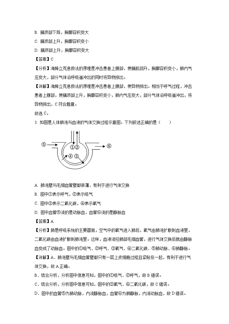 [生物]山东省菏泽市鲁西新区2023-2024学年七年级下学期第二次月考(6月)试题(解析版)第2页