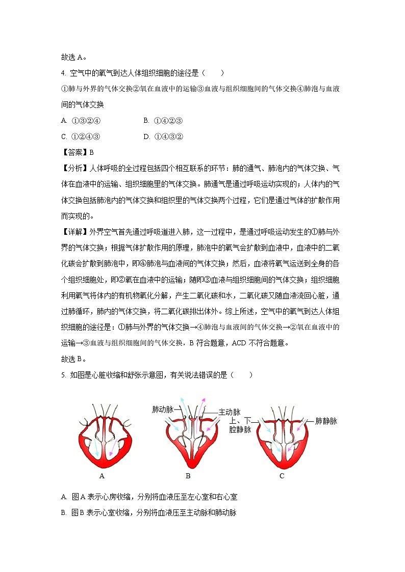 [生物]山东省菏泽市鲁西新区2023-2024学年七年级下学期第二次月考(6月)试题(解析版)第3页