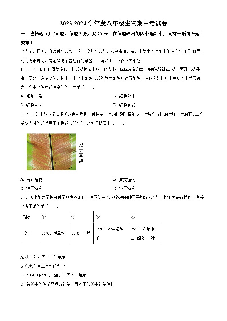湖北省黄冈市麻城市2023-2024学年八年级下学期期中生物学试题（原卷版+解析版）01