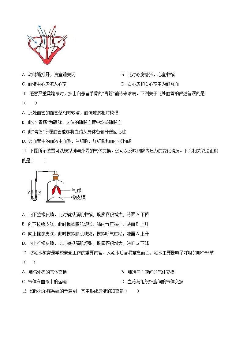 河北省廊坊市广阳区2023-2024学年七年级下学期期末生物学试题（原卷版+解析版）03