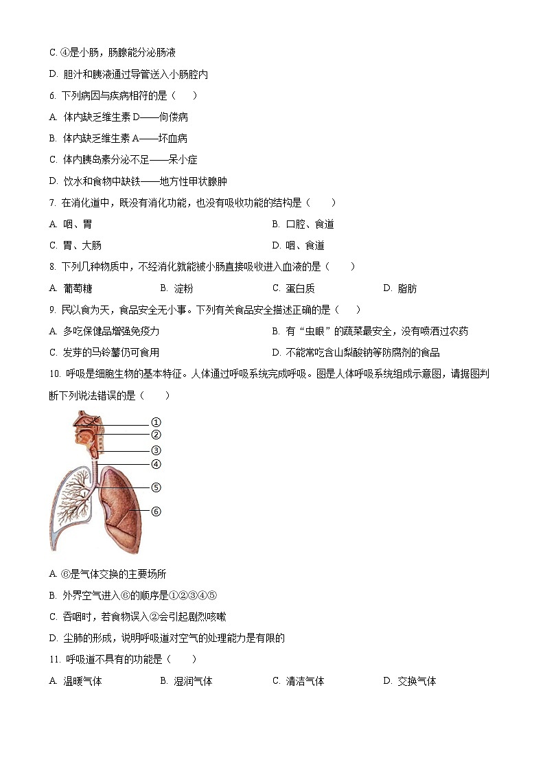 广东省江门市恩平市2023-2024学年七年级下学期期末生物试题（原卷版+解析版）02