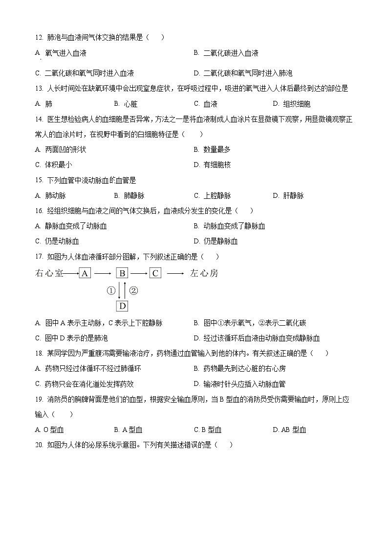 广东省江门市恩平市2023-2024学年七年级下学期期末生物试题（原卷版+解析版）03