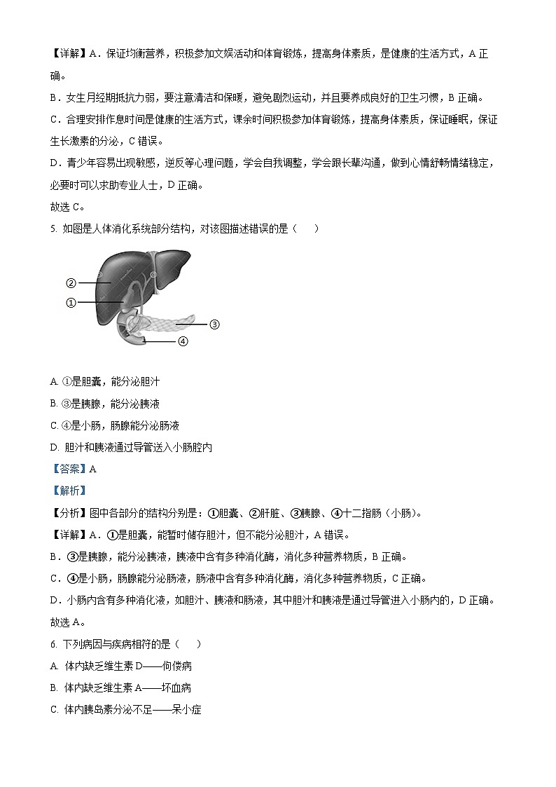广东省江门市恩平市2023-2024学年七年级下学期期末生物试题（原卷版+解析版）03