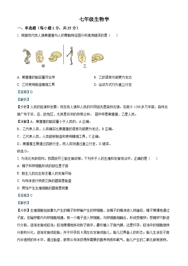 广东省深圳市光明区2023-2024学年七年级下学期期末生物学试题（原卷版+解析版）01