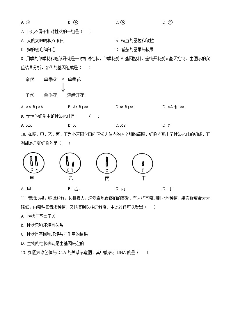 甘肃省陇南市西和县2023-2024学年八年级下学期期末生物学试题（原卷版+解析版）02