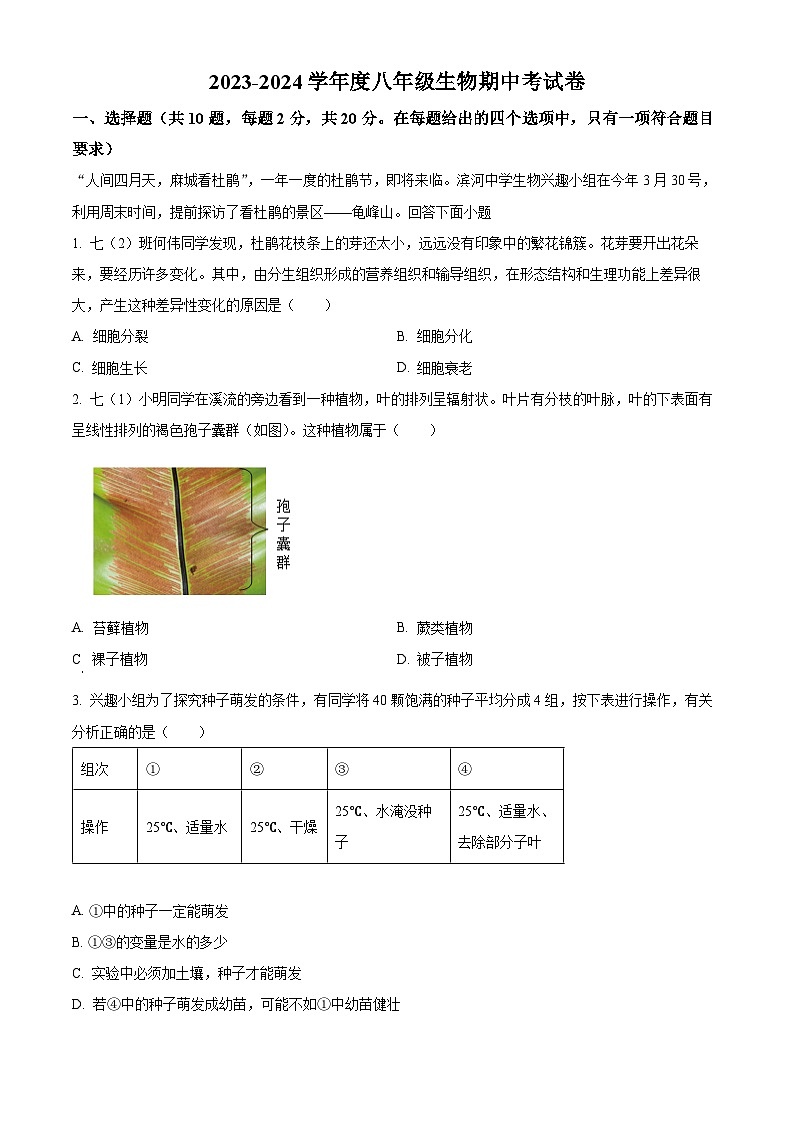 湖北省黄冈市麻城市2023-2024学年八年级下学期期中生物学试题（原卷版）第1页