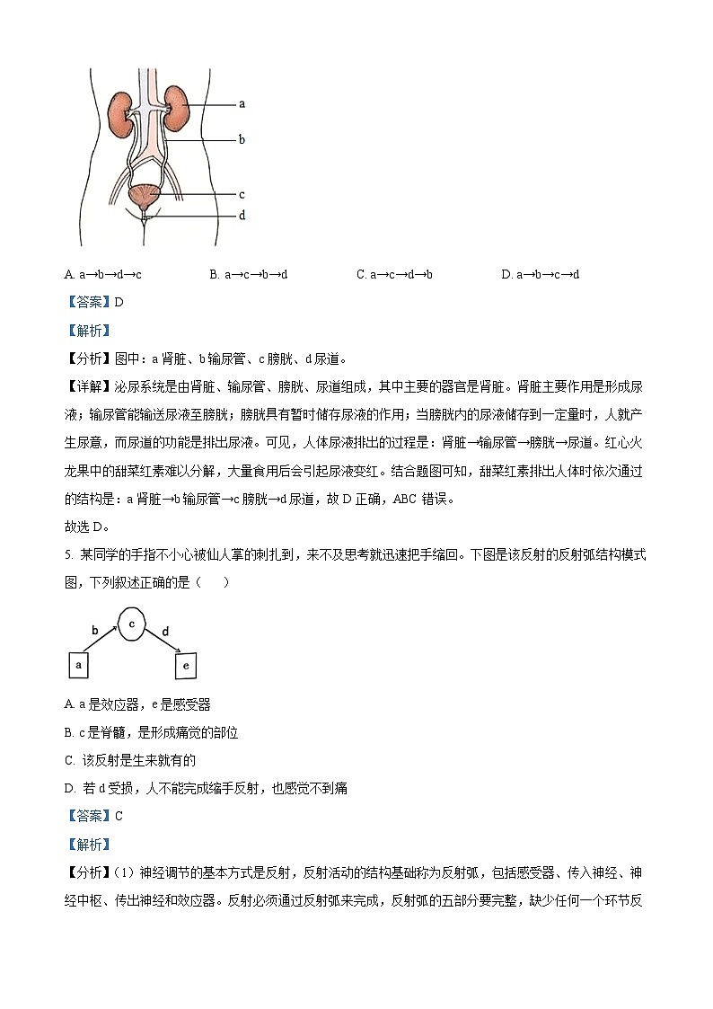 山西省临汾市尧都区2023-2024学年七年级下学期期末生物学试题（解析版）第3页