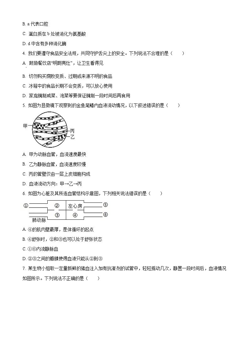 广东省湛江市赤坎区等2地2023-2024学年七年级下学期期末生物学试题（原卷版）第2页