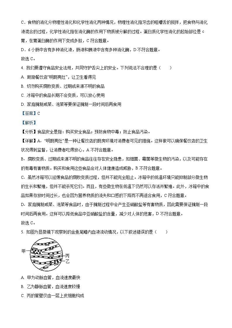 广东省湛江市赤坎区等2地2023-2024学年七年级下学期期末生物学试题（解析版）03