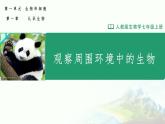 人教版七年级上册1观察周边环境中的生物课件