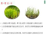 人教版七年级上册1观察周边环境中的生物课件