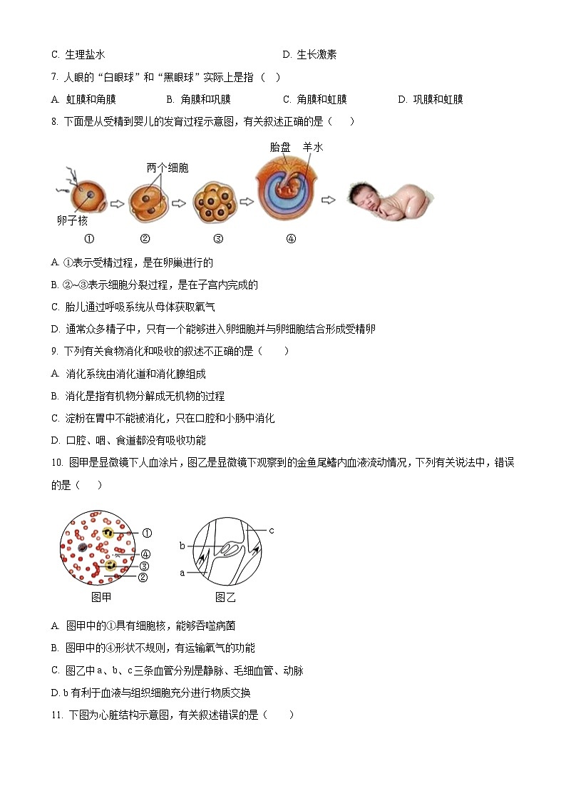 辽宁省丹东市东港市2023-2024学年七年级下学期期末生物学试题（原卷版+解析版）02