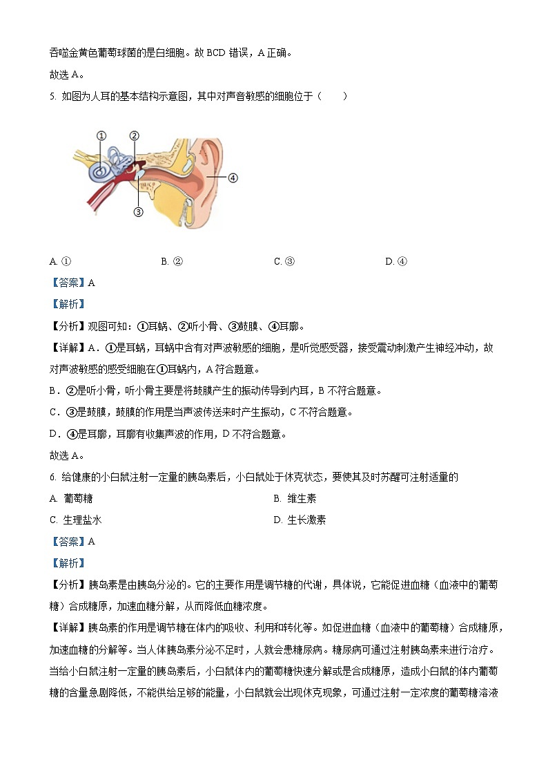 辽宁省丹东市东港市2023-2024学年七年级下学期期末生物学试题（原卷版+解析版）03