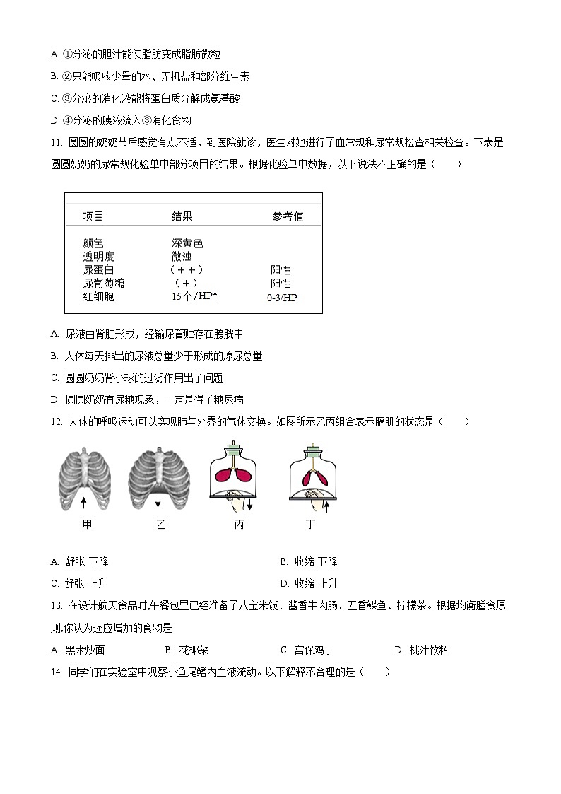 海南省省直辖县级行政单位陵水黎族自治县2023-2024学年七年级下学期期末生物学试题（原卷版）第3页