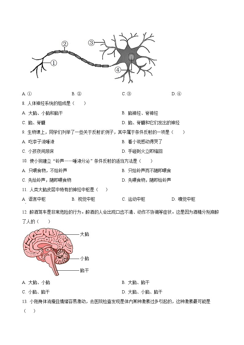 辽宁省铁岭市铁岭县2023-2024学年七年级下学期期末生物学试题（原卷版）第2页