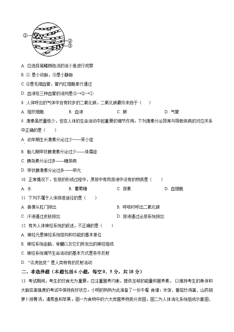 辽宁省沈阳市铁西区2023-2024学年七年级下学期期末生物试题（原卷版）02