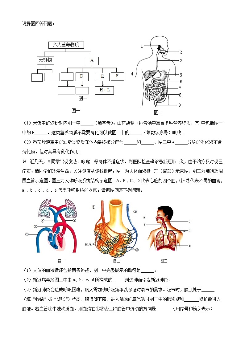 辽宁省沈阳市铁西区2023-2024学年七年级下学期期末生物试题（原卷版）03