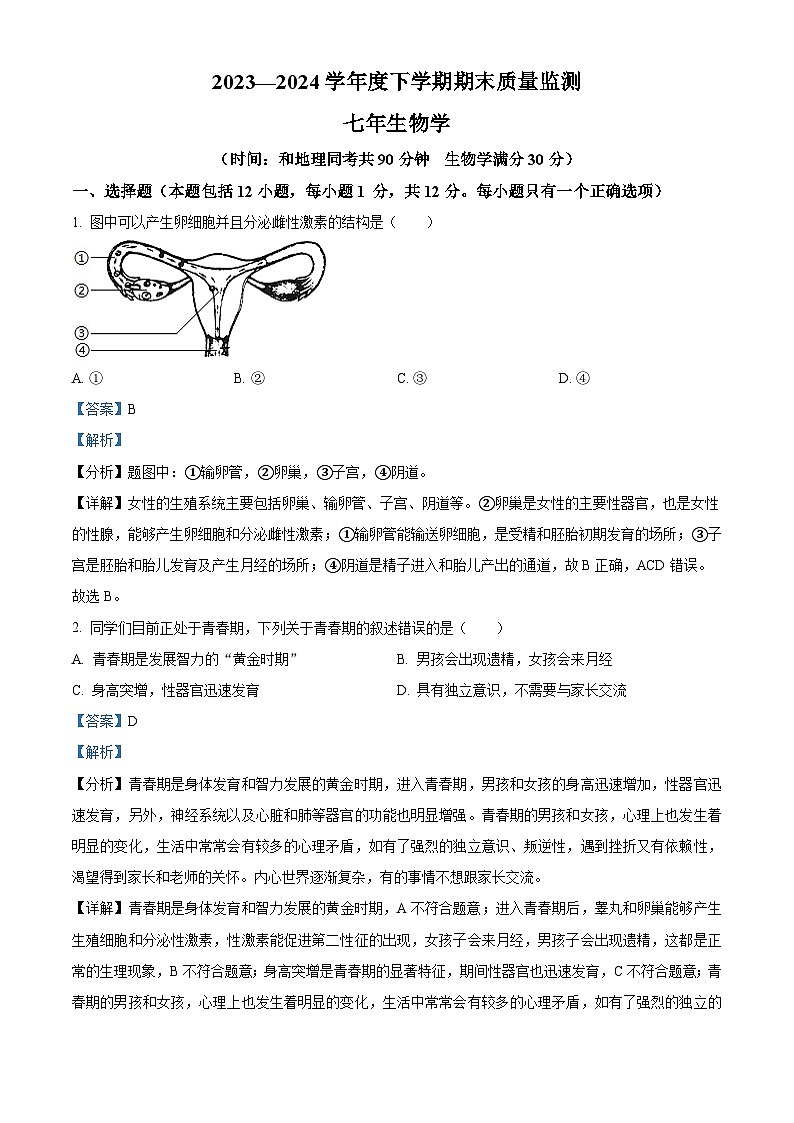 辽宁省沈阳市铁西区2023-2024学年七年级下学期期末生物试题（解析版）01